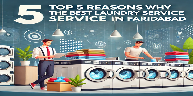 Top 5 Reasons Why Dhobighaat is the Best Laundry Service in Faridabad